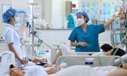 R&#224; so&#225;t tổng thể nhu cầu sử dụng vi&#234;n chức ng&#224;nh y tế, gi&#225;o dục ở c&#225;c địa phương