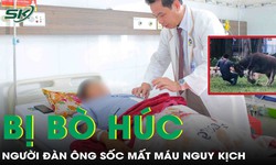 Bị b&#242; h&#250;c v&#224;o bụng, người đ&#224;n &#244;ng vỡ mạch mạc treo, sốc mất m&#225;u nguy kịch