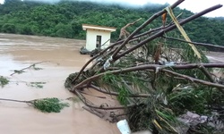 Mưa lũ khốc liệt từ đầu m&#249;a, chuy&#234;n gia cảnh b&#225;o g&#236;?