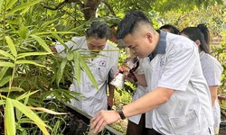 Thanh H&#243;a: Gi&#225;m s&#225;t chặt chẽ c&#225;c bệnh truyền nhiễm trong m&#249;a h&#232;