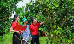Agribank - Doanh nghiệp ESG Việt Nam xanh 2025
