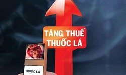 Thuốc l&#225; điếu sẽ chịu thuế ti&#234;u thụ đặc biệt 10.000 bao