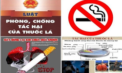 Việt Nam với cam kết to&#224;n cầu thực hiện C&#244;ng ước Khung về kiểm so&#225;t thuốc l&#225;