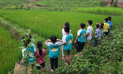 Từ sự cố ở L&#224;ng H&#225;o Hức, cha mẹ cần lưu &#253; g&#236; khi chọn trại h&#232; cho con?