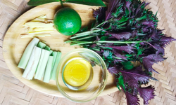 Uống nước l&#225; t&#237;a t&#244; với chanh, sả, gừng c&#243; t&#225;c dụng g&#236;?