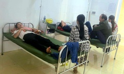 Ăn nhầm nấm lạ, 2 người dân ở Nghệ An suýt mất mạng