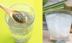 Ng&#226;m hạt chia với nước dừa – T&#225;c dụng v&#224; l&#253; do n&#234;n uống mỗi s&#225;ng