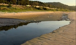 L&#226;m Đồng chỉ đạo x&#225;c minh khẩn vụ nước thải đen ng&#242;m chảy ra biển Mũi N&#233;