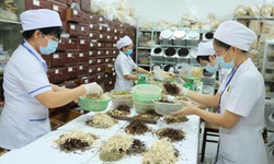 Bộ Y tế dự kiến 13 nhiệm vụ của Bệnh viện Y học cổ truyền