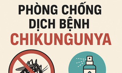 Hải Ph&#242;ng l&#234;n phương &#225;n ph&#242;ng, chống dịch bệnh Chikungunya