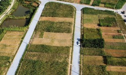 Quy định mới về thủ tục tách thửa đất