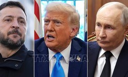 Những tiết lộ đầu tiên về hội nghị thượng đỉnh Mỹ-Nga-Ukraine