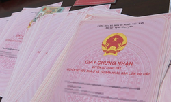 Vi phạm quy định n&#224;y li&#234;n quan đến sổ đỏ c&#243; thể bị phạt l&#234;n đến 100 triệu đồng