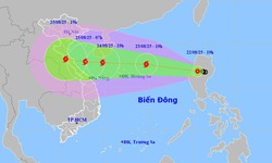 Dự b&#225;o đến 25/8, b&#227;o số 5 di chuyển v&#224;o đất liền, Thủ tướng chỉ đạo khẩn nhiều biện ph&#225;p ứng ph&#243;