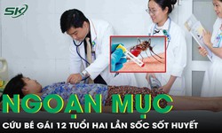 Sốc sốt xuất huyết, b&#233; g&#225;i 12 tuổi hai lần rơi v&#224;o &#39;cửa tử&#39;