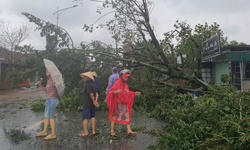 B&#227;o số 5 t&#224;n ph&#225; H&#224; Tĩnh, 10 người thương vong, h&#224;ng ngh&#236;n ng&#244;i nh&#224; hư hại