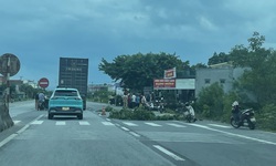 Hai mẹ con thương vong khi lưu th&#244;ng tr&#234;n QL 1A