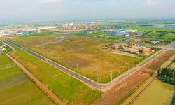 Đất 50 năm c&#243; được x&#226;y nh&#224;, cấp sổ đỏ theo quy định mới nhất của Luật Đất đai?