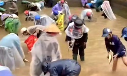 Thực hư th&#244;ng tin nhiều người thi nhau bắt c&#225; tầm, bỏ mặc sự cầu xin của chủ nh&#224; ở L&#224;o Cai