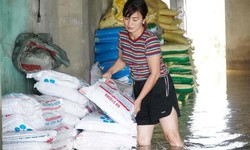 Ngậm ng&#249;i nh&#236;n 15 tấn ph&#226;n b&#243;n ch&#236;m trong nước lũ, người d&#226;n b&#236; b&#245;m cứu vớt t&#224;i sản