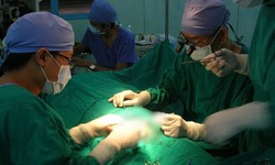 Cách xử lý xoắn tinh hoàn để không mất khả năng sinh sản