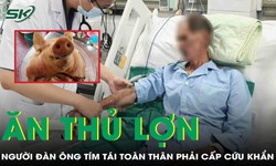 Ăn thủ lợn, người đàn ông 44 tuổi nhiễm khuẩn huyết tím tái toàn thân, viêm màng não mủ