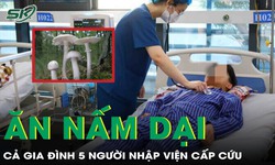 Ăn nấm dại, cả gia đình 5 người phải nhập viện cấp cứu