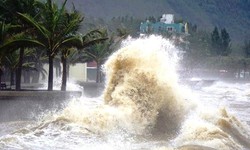 Th&#244;ng tin mới nhất về &#225;p thấp nhiệt đới tr&#234;n Biển Đ&#244;ng