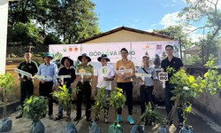 Trồng 60.000 cây bản địa phục hồi rừng ở Sơn La