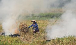 Dùng máy bay không người lái để phát hiện tình trạng đốt rơm rạ ở Hà Nội