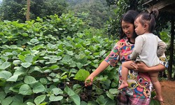 Dinh dưỡng hợp l&#253; trong thai kỳ ph&#242;ng thiếu m&#225;u v&#224; bổ sung vi chất cho mẹ v&#224; b&#233;