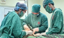 B&#233; g&#225;i 15 tuổi mắc ung thư tế b&#224;o mầm buồng trứng hiếm gặp 