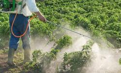 Cảm biến giúp phát hiện nhanh chất siêu độc bị cấm trong thuốc diệt cỏ