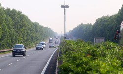  Trồng c&#226;y xanh l&#224;m dải ph&#226;n c&#225;ch đường cao tốc n&#234;n hay kh&#244;ng?