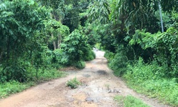 TPHCM: Con trai d&#249;ng dao s&#225;t hại mẹ, ch&#233;m chị g&#225;i