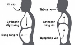 6 b&#224;i tập thở đơn giản gi&#250;p tăng dung t&#237;ch phổi v&#224; cải thiện sức khỏe h&#244; hấp