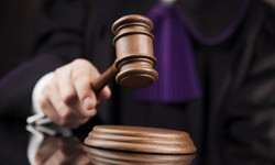 Chủ chuỗi hệ thống N&#244;ng nghiệp sạch lĩnh &#225;n t&#249; chung th&#226;n v&#236; lừa đảo