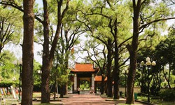 H&#224;ng vạn du kh&#225;ch đổ về di t&#237;ch C&#244;n Sơn - Kiếp Bạc trước ng&#224;y khai hội