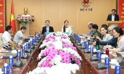 Bộ Y tế v&#224; WHO họp nh&#243;m Kỹ thuật th&#250;c đẩy chuyển đổi số y tế Việt Nam