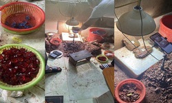 Sự thật sau chi&#234;u lừa đ&#225; qu&#253; gi&#225; 50 triệu đồng/carat tr&#234;n mạng x&#227; hội