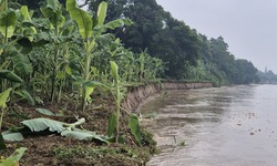 Thực hư th&#244;ng tin &#39;vỡ đ&#234; Hữu Thao ở Ph&#250; Thọ&#39; lan truyền tr&#234;n mạng x&#227; hội