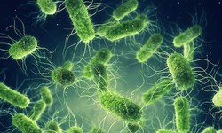 Tử vong do tả tăng 46% tr&#234;n thế giới, Việt Nam ứng ph&#243; thế n&#224;o trước nguy cơ bệnh n&#224;y c&#243; thể x&#226;m nhập?
