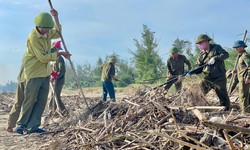 H&#224; Tĩnh nỗ lực dọn r&#225;c, l&#224;m sạch b&#227;i biển sau b&#227;o