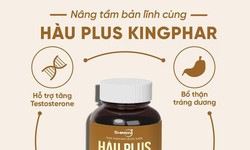 Hàu Plus – Cách tiếp cận nhẹ nhàng trong chăm sóc sức khỏe sinh lý nam giới