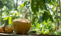 Cách giảm axit uric đơn giản tại nhà