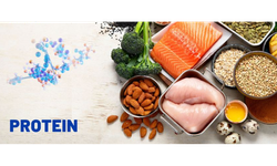 Vai trò của protein trong kiểm soát cân nặng