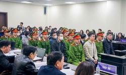 Hôm nay tuyên án các bị cáo trong đường dây sữa giả Hiup