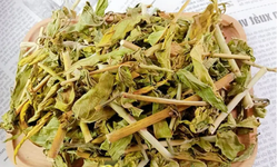 Bài thuốc chữa sẹo lồi từ cây bìm bịp