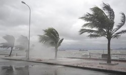 Bão xuất hiện ngay từ đầu tháng 1 có bất thường?