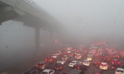 Diệp lục – 'điểm cộng xanh' cho người sống giữa ô nhiễm đô thị